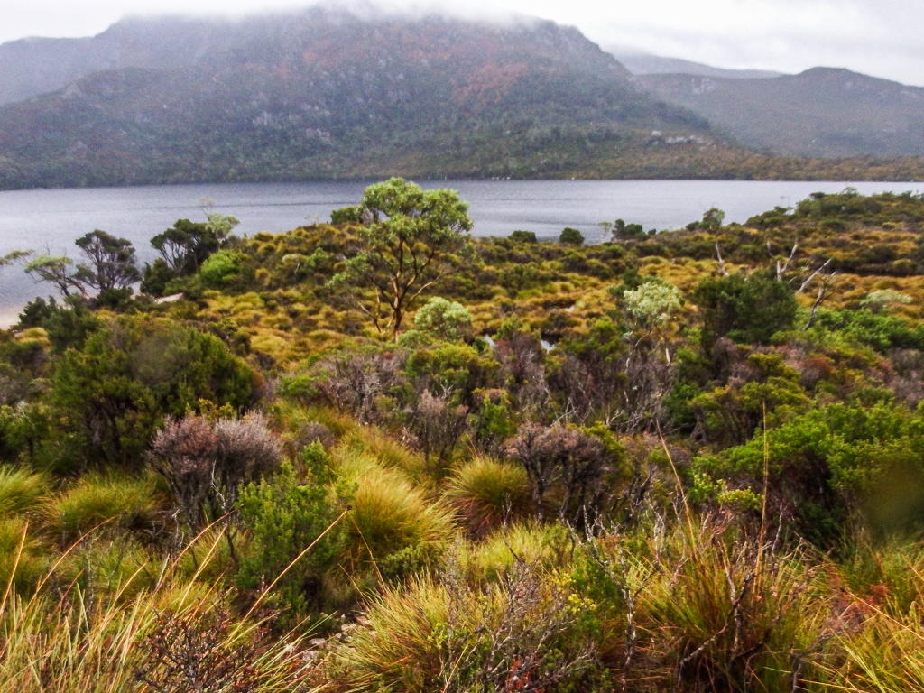 The glacial Dove Lake at Cradle Mountain-Lake St. Clair National Park--the only day it rained during our 30 days of travel.